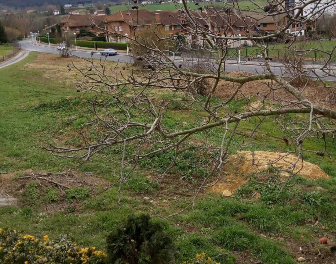 Parcela de Lezama